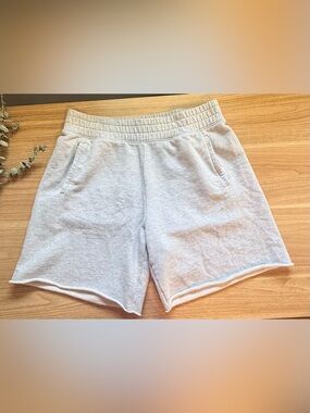 OFFLINE By Aerie Cloud Fleece Short Heather Gray Size Large